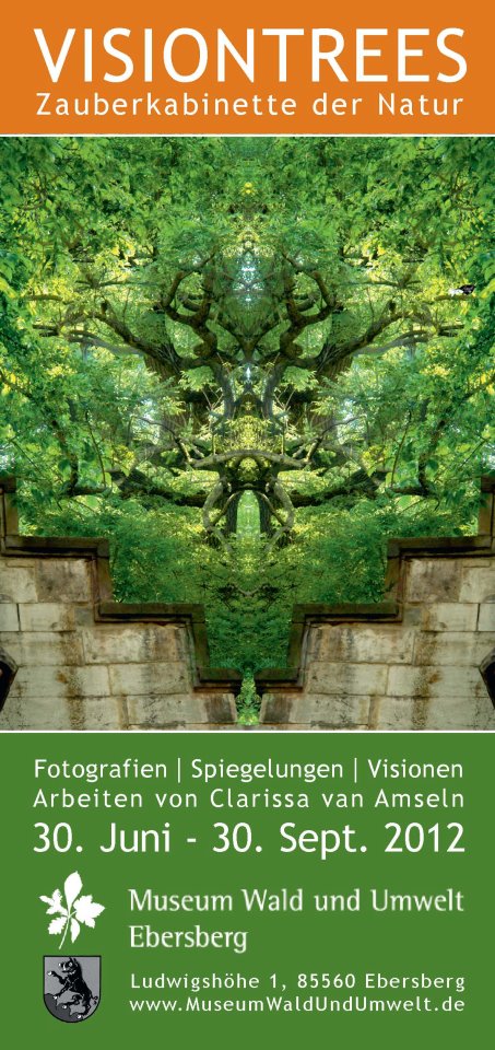 Visiontrees - Zauberkabinette der Natur